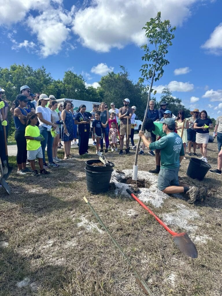 Community planting a tree on a sunny day.