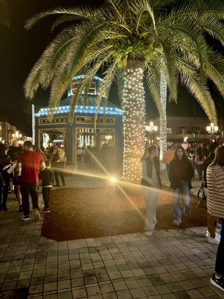 People enjoying a lively evening near a palm tree and illuminated building.