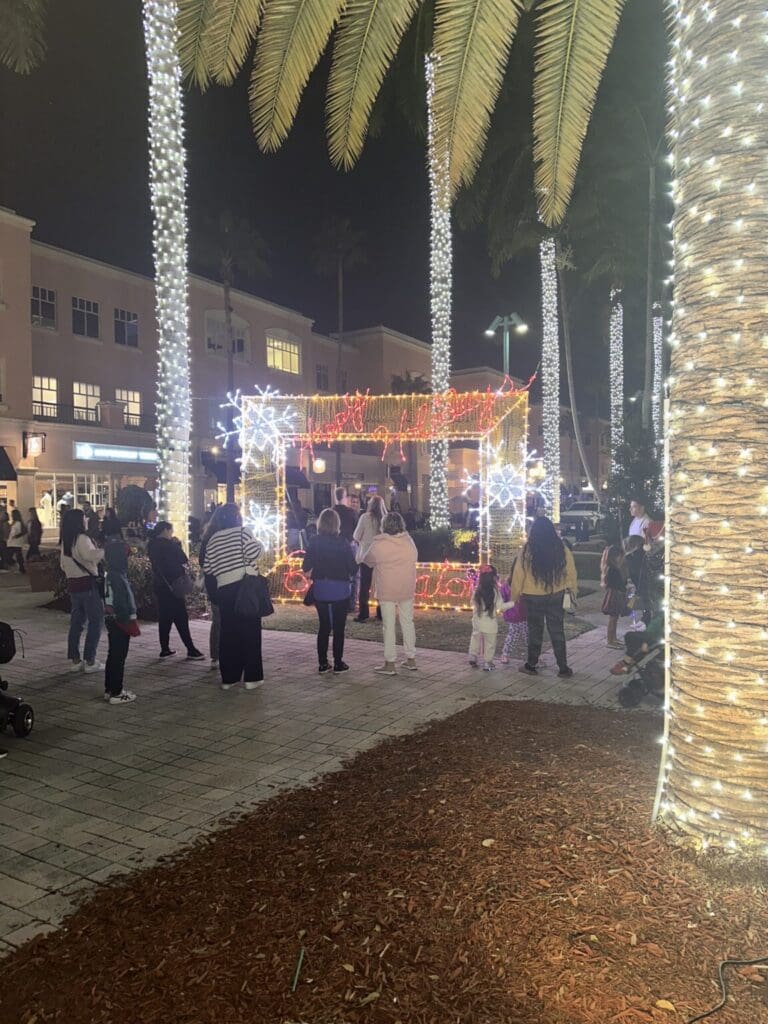 People gathered outdoors at night with trees wrapped in lights.